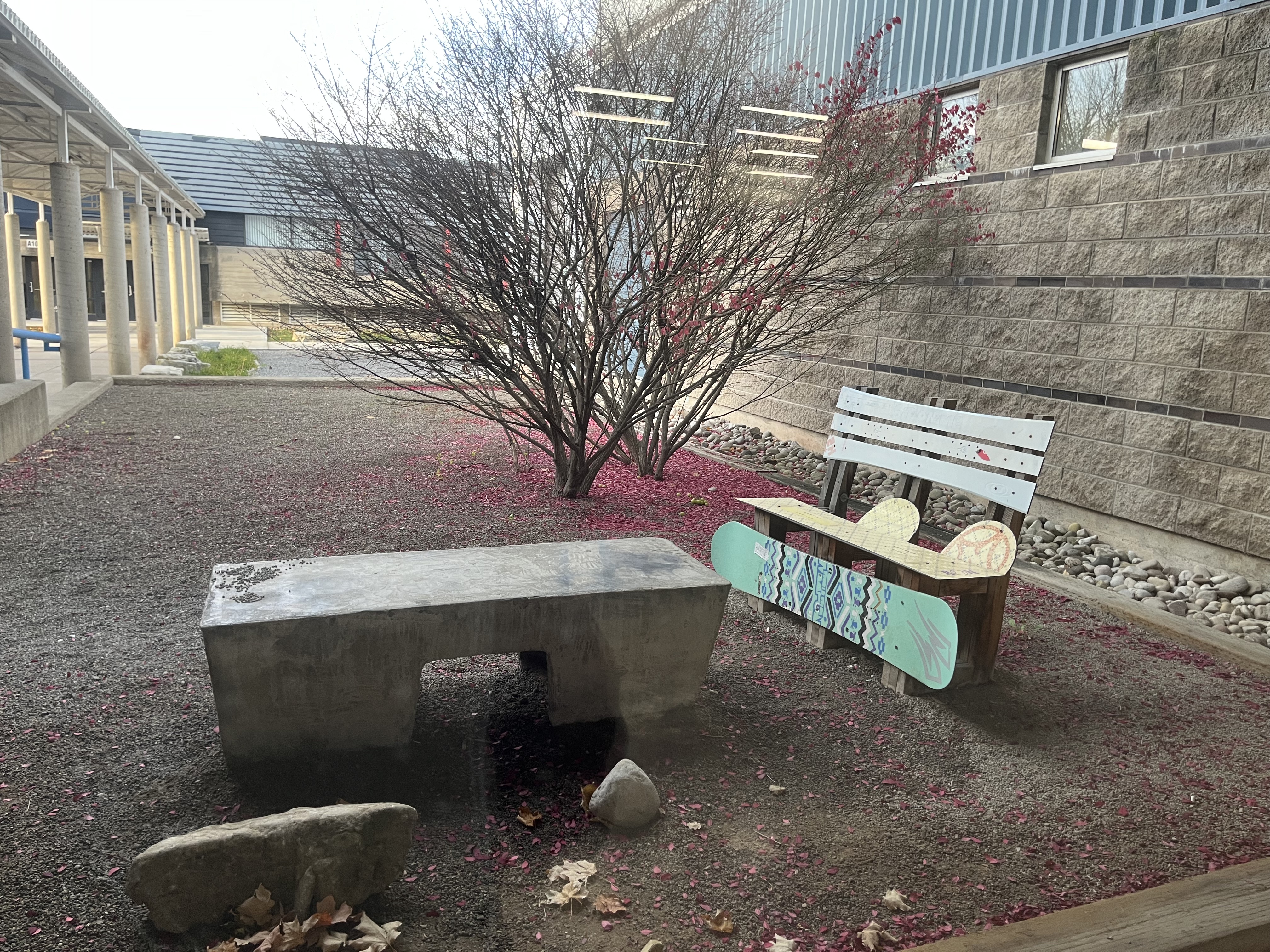 This outdoor courtyard space features a mix of natural elements and handmade seating, creating a small but expressive gathering area on campus. The bare tree at the center becomes the focal point, surrounded by a bed of red fallen leaves that add a striking contrast against the gravel ground. A concrete bench and a custom bench made from repurposed materials—specifically painted wooden planks and a snowboard—introduce a playful, student-made character to the space. The rough textures of the stone, gravel, and brick walls contrast with the smooth, colorful patterns of the snowboard bench. Despite being tucked between buildings, the space feels open and calm, offering a quiet spot for resting or creative reflection.